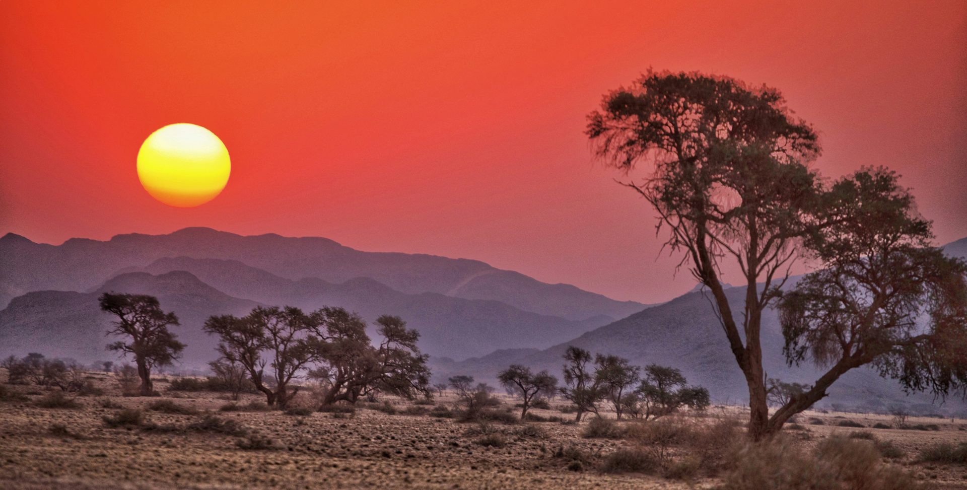 Sunset over the African savanna, acacia trees silhouetted against a red sky